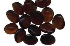 AMSF-GLASS-13-Brown